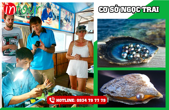 Tour Hà Nội - Phú Quốc bao gồm máy bay 4.990.000đ KS3*(4 ngày 3 đêm)