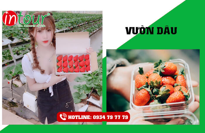 Tour du lịch Hà Nội - Phan Thiết - Đà Lạt 2.590.000Đ (4 ngày 3 đêm)