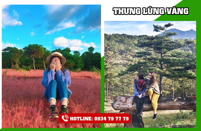 Tour du lịch Hà Nội - Nha Trang - Đà Lạt - Sài Gòn (5N4Đ) 3.990.000Đ