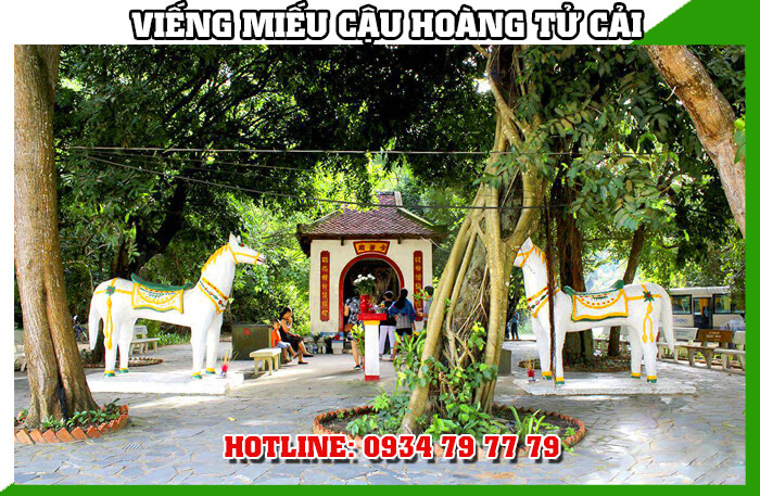 tour du lịch côn đảo