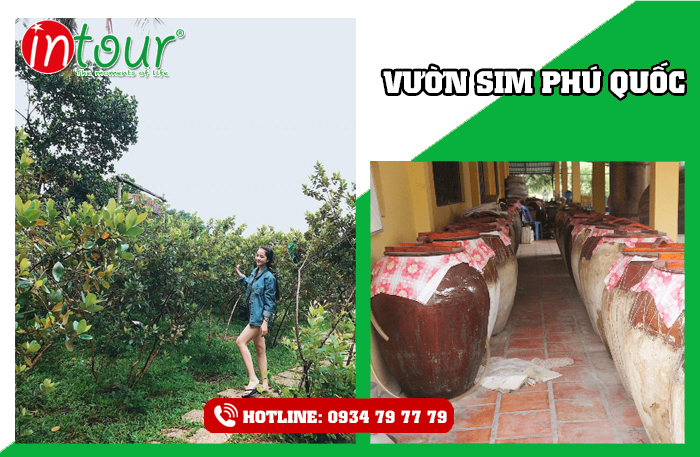 Tour Hà Nội - Phú Quốc bao gồm máy bay 4.990.000đ KS3*(4 ngày 3 đêm)