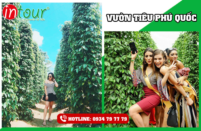 Tour du lịch giá rẻ Hà Nội - Phú Quốc (3 ngày 2 đêm) 1.990.000Đ