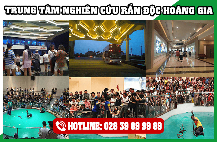 Trung Tâm Nghiên Cứu Rắn Độc Hoàng Gia Thái Lan