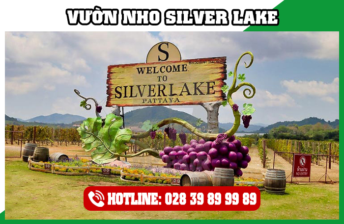 Vườn Nho Silver Lake Thái Lan
