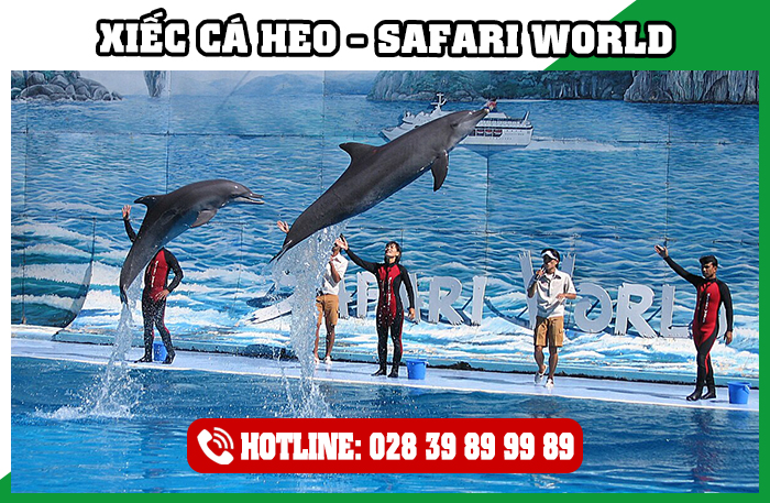 Xiếc Cá Heo Safari World Thái Lan