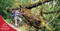Tour trekking leo núi Pu Ta Leng 3 ngày 2 đêm năm 2025