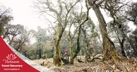 Tour trekking leo núi Khang Su Văn 3 ngày 2 đêm năm 2025