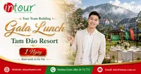 Tour Team Building - Gala Lunch Tam Đảo Resort 1 Ngày