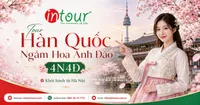 Tour Du Lịch Hàn Quốc Ngắm Hoa Anh Đào 4 Ngày 4 Đêm Khởi Hành Từ Hà Nội