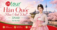 Tour Du Lịch Hàn Quốc Ngắm Hoa Anh Đào 5 Ngày 4 Đêm Khởi Hành Từ Hà Nội