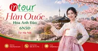 Tour Du Lịch Hàn Quốc Ngắm Hoa Anh Đào 6 Ngày 5 Đêm Khởi Hành Từ Hà Nội