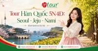 Tour Du Lịch Hàn Quốc 5 Ngày 4 Đêm: Seoul - Jeju - Nami Khởi Hành Từ Hà Nội