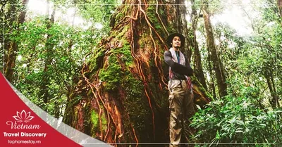 Du lịch trekking vườn quốc gia Bidoup 3 ngày 2 đêm