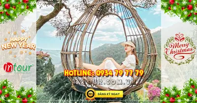 Du lịch Đà Lạt 3 ngày 2 đêm Tết Dương Lịch 2027