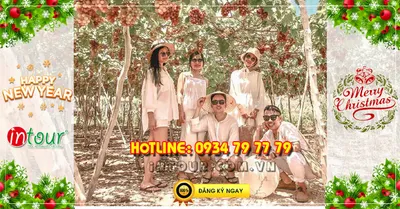 Du lịch Ninh Chữ Vĩnh Hy 2 ngày 2 đêm Tết Dương Lịch 2027