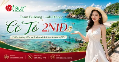 Tour Team Building - Gala Dinner Cô Tô 2 Ngày 1 Đêm