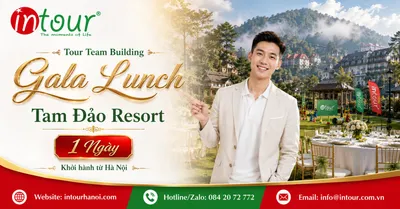 Tour Team Building - Gala Lunch Tam Đảo Resort 1 Ngày