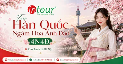 Tour Du Lịch Hàn Quốc Ngắm Hoa Anh Đào 4 Ngày 4 Đêm Khởi Hành Từ Hà Nội
