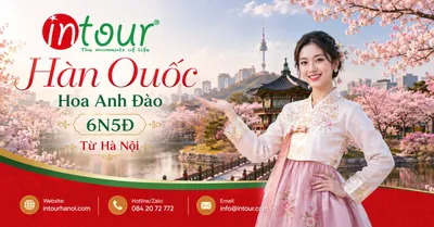 Tour Du Lịch Hàn Quốc Ngắm Hoa Anh Đào 6 Ngày 5 Đêm Khởi Hành Từ Hà Nội