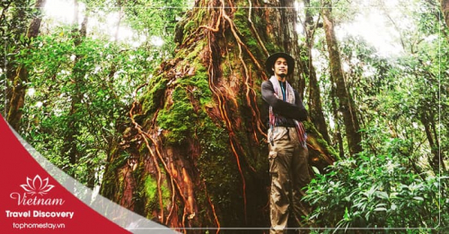 Du lịch trekking vườn quốc gia Bidoup 3 ngày 2 đêm