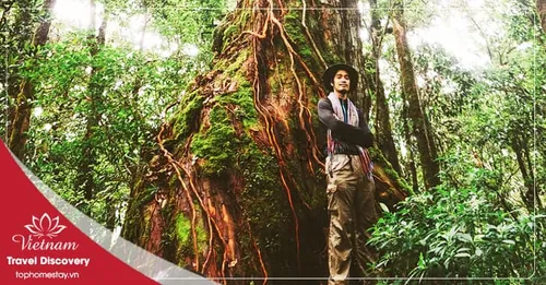 Du lịch trekking vườn quốc gia Bidoup 3 ngày 2 đêm