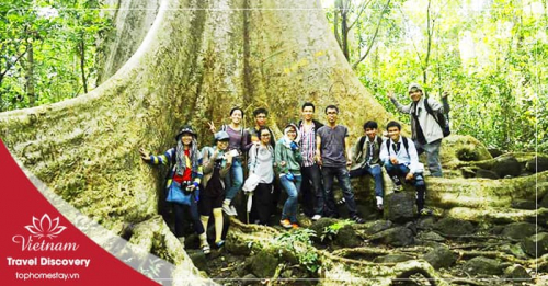 Du lịch trekking rừng Nam Cát Tiên 2 ngày 1 đêm