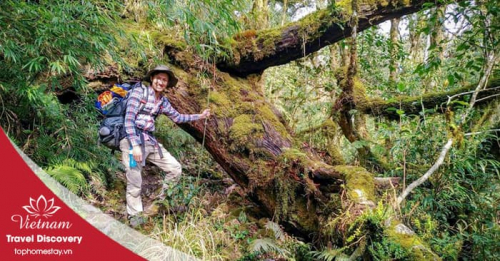 Du lịch trekking leo núi Pu Ta Leng 3 ngày 2 đêm