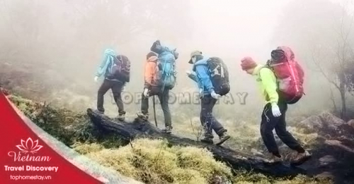 Du lịch trekking leo núi Nhìu Cồ Sàn 2 ngày 1 đêm
