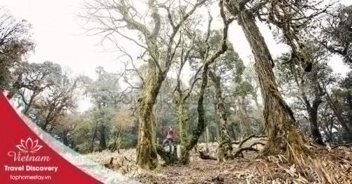 Du lịch trekking leo núi Khang Su Văn 3 ngày 2 đêm