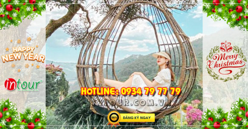 Du lịch Đà Lạt 3 ngày 2 đêm Tết Dương Lịch 2026