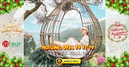 Du lịch Đà Lạt 3 ngày 2 đêm Tết Dương Lịch 2026