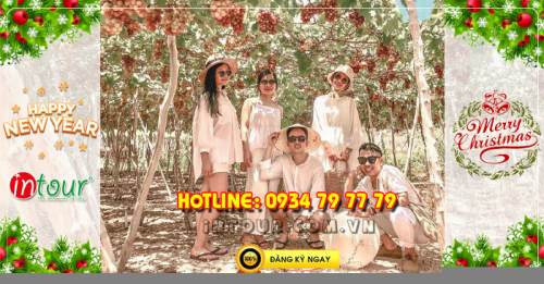 Du lịch Ninh Chữ Vĩnh Hy 2 ngày 2 đêm Tết Dương Lịch 2026