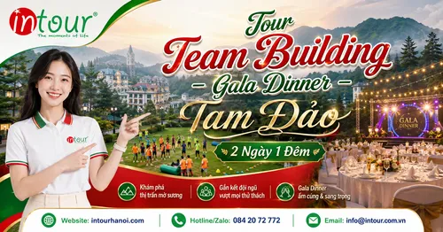 Tour Team Building - Gala Dinner Tam Đảo 2 Ngày 1 Đêm