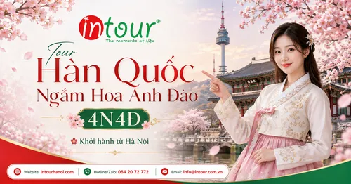 Tour Du Lịch Hàn Quốc Ngắm Hoa Anh Đào 4 Ngày 4 Đêm Khởi Hành Từ Hà Nội