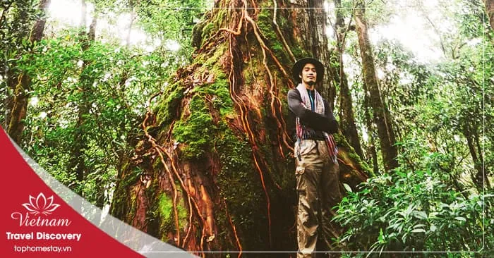 Tour trekking vườn quốc gia Bidoup 3 ngày 2 đêm năm 2025
