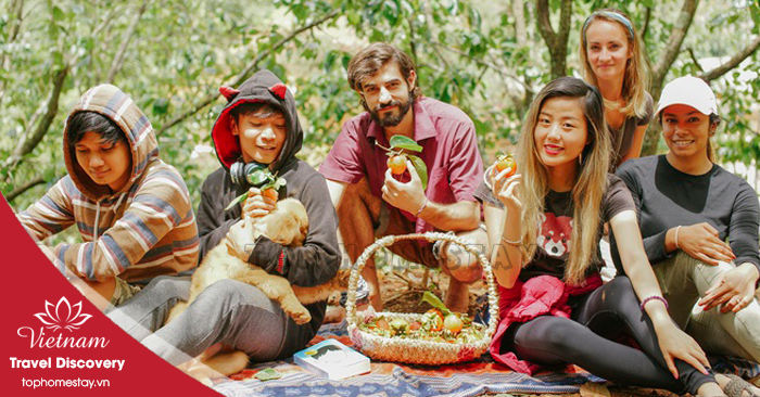 Du lịch Cắm Trại Vườn Hồng Cầu Đất - Săn Mây Cầu Gỗ Đà Lạt