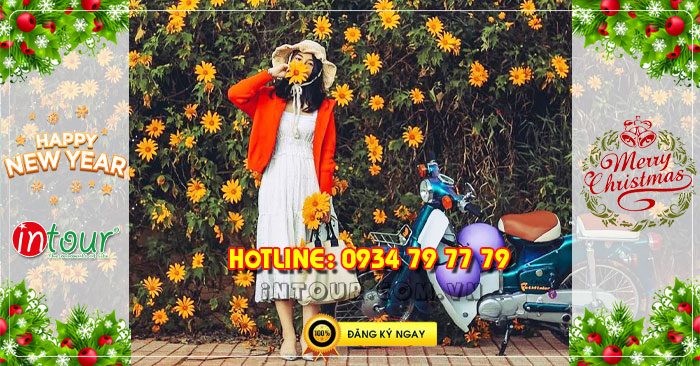 Tour du lịch Đà Lạt 3 ngày 3 đêm Tết Dương Lịch 2026