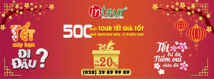 Tết Nguyên Đán Năm Nay Nên Đi Du Lịch Ở Đâu Là Hợp Lý Nhất?