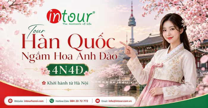 Tour Du Lịch Hàn Quốc Ngắm Hoa Anh Đào 4 Ngày 4 Đêm Khởi Hành Từ Hà Nội
