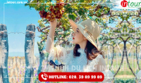 Du lịch Quảng Trị - Phan Thiết - Mũi Né 3 ngày 2 đêm